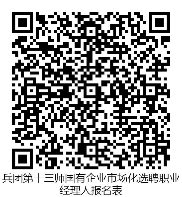 第十三师国有企业市场化选聘职业经理人报名表 第十三师国有企业市场化选聘职业经理人报名表